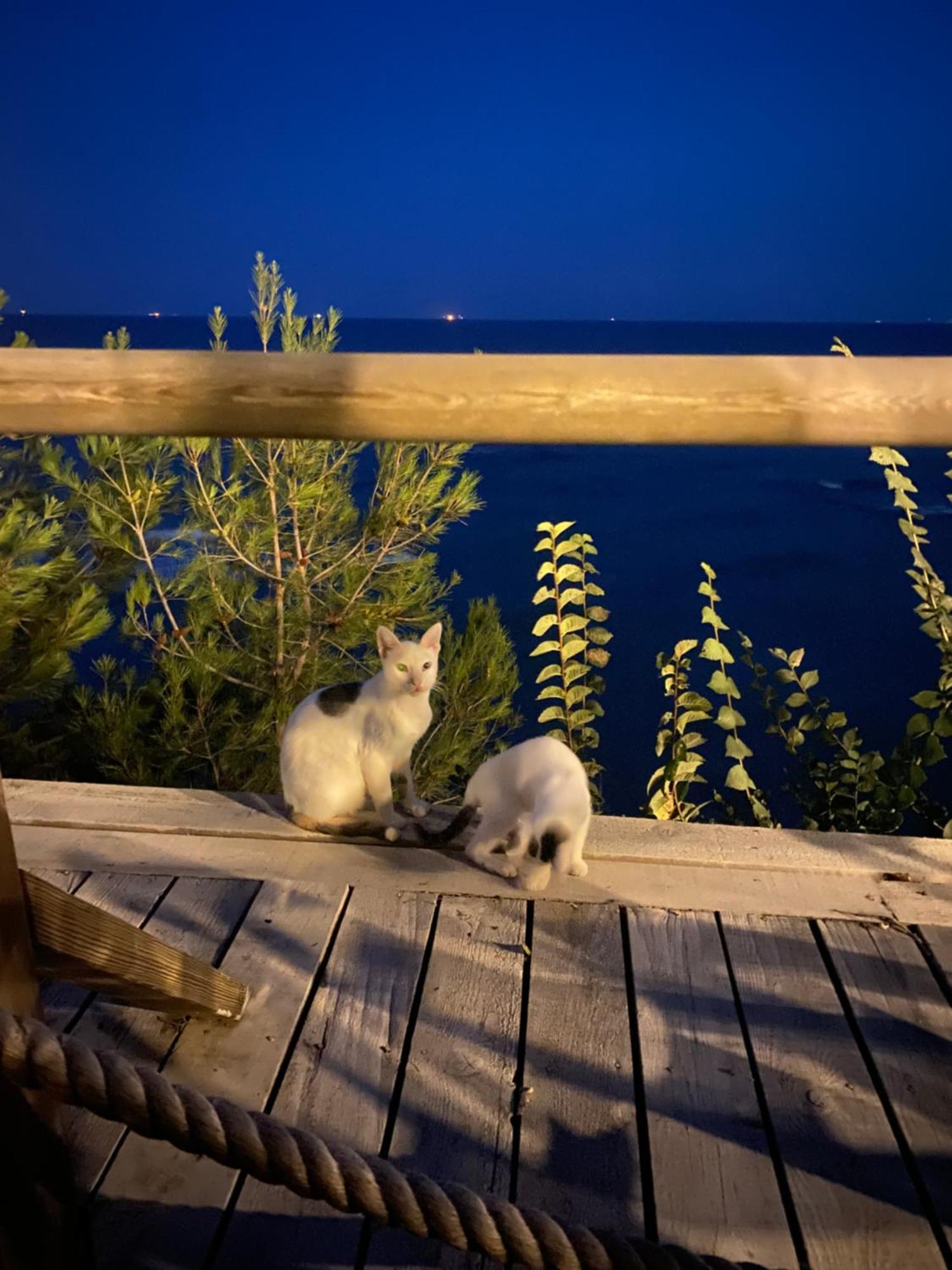 Pia Mare Otel Gunduzlu エクステリア 写真